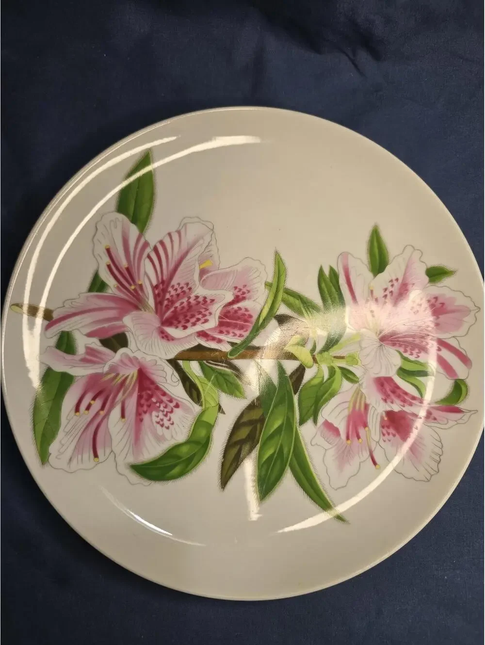 RARE! Vintage Haldon Group 